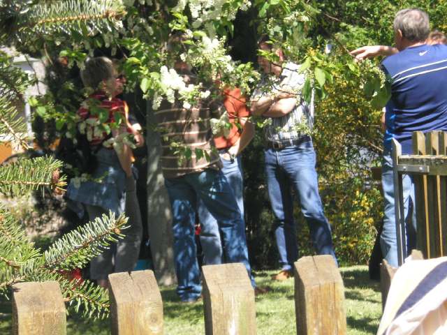 Zum Beenden - Bild anklicken